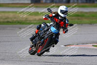 media/Jan-21-2023-Fastrack Riders (Sat) [[fcf3f88a30]]/Level 1-RDS/Session 3 Turn 6-Mountian Shot/